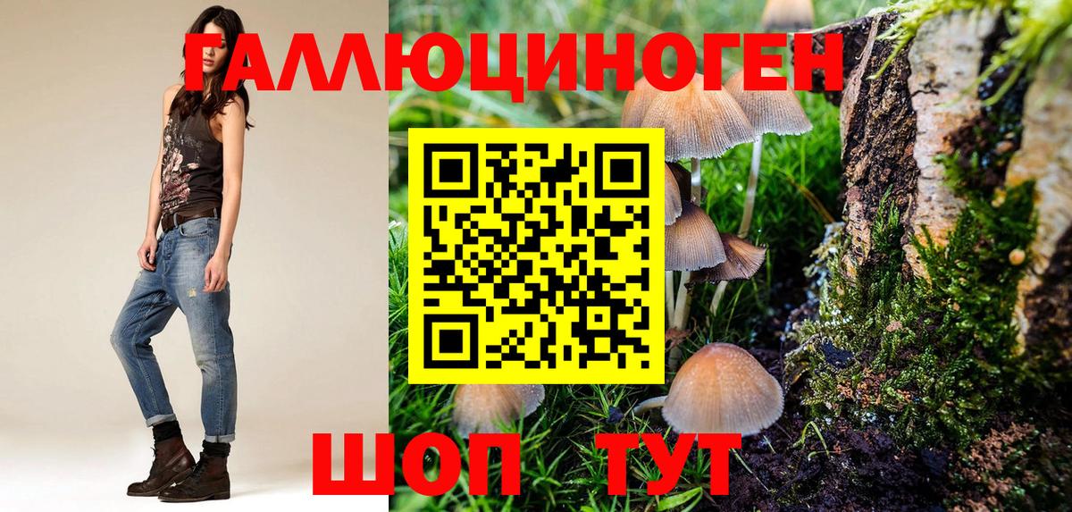 Галлюциногенные грибы прущие грибы  Галлюциногенные грибы прущие грибы  Вход с VPN  Лесосибирск 
