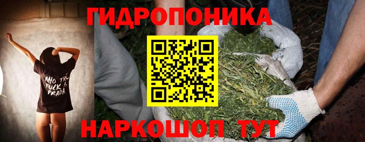 Марихуана тримм Лесосибирск